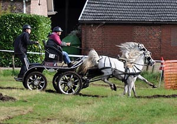 Dorpsfeest Achtmaal